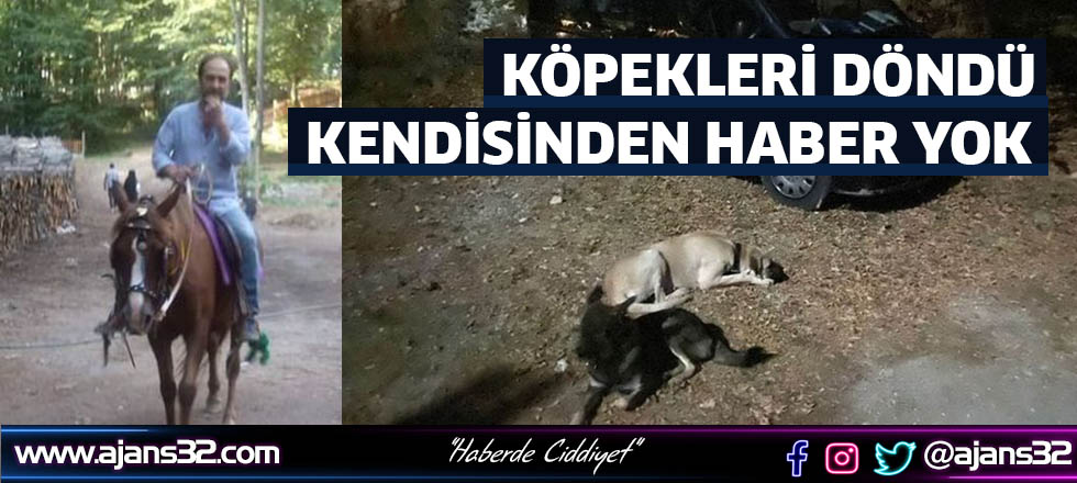 Köpekleri Döndü Kendisinden Haber Yok