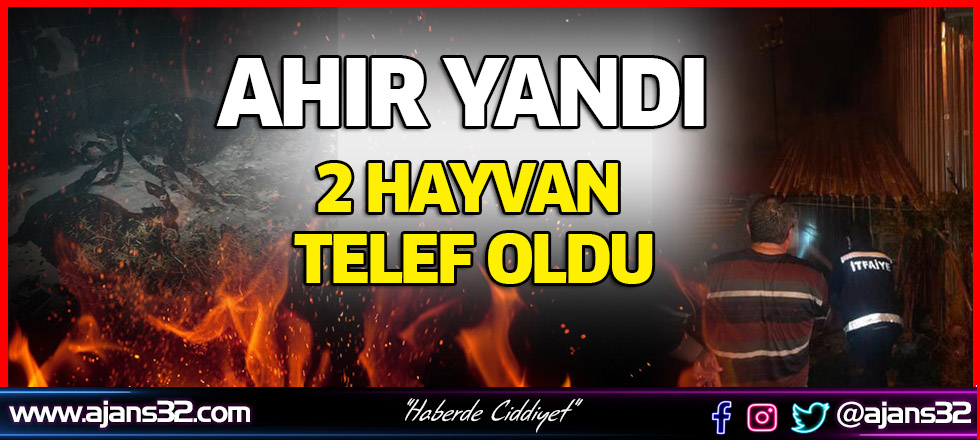 Ahır Yandı