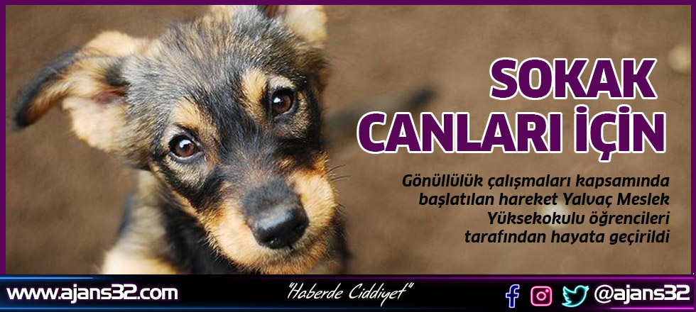 Sokak Canları İçin