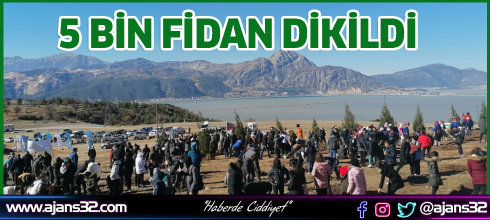 5 Bin Fidan Dikildi