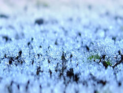 Isparta İçin Zirai Don Uyarısı