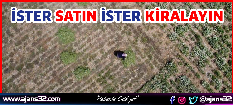 İster Satın İster Kiralayın