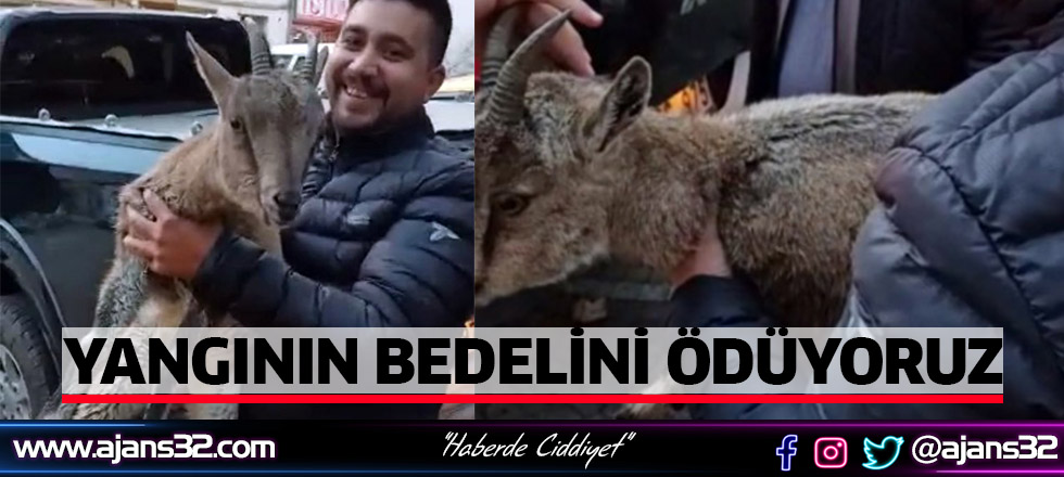 Yangının Bedelini Ödüyoruz