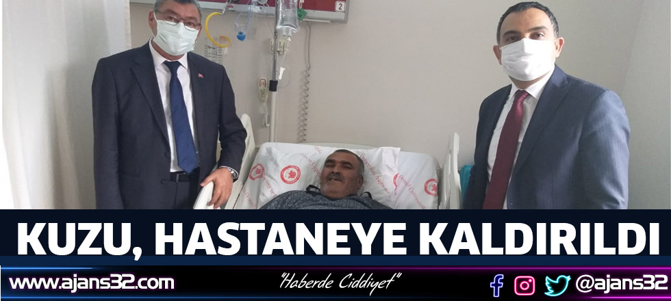 Kuzu, Hastaneye Kaldırıldı