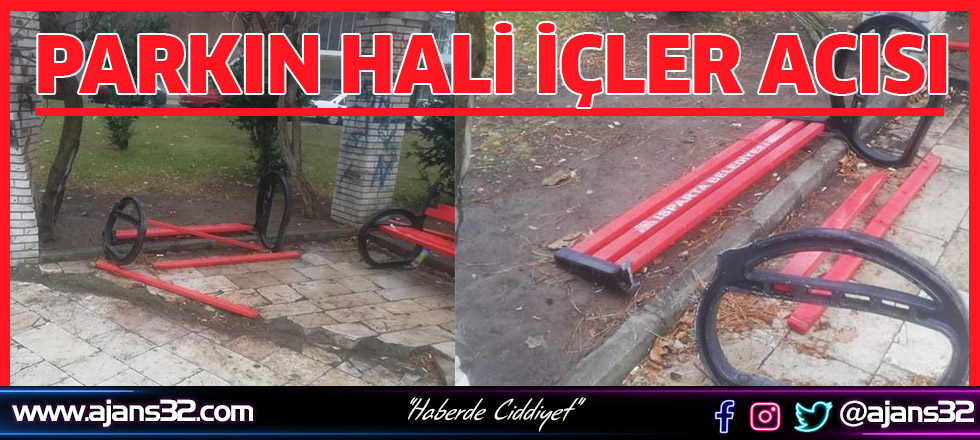 Parkın Hali İçler Acısı