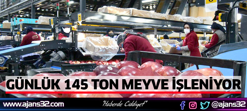 Günlük 145 Ton Meyve İşleniyor