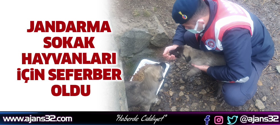 Jandarma Sokak Hayvanları İçin Seferber Oldu