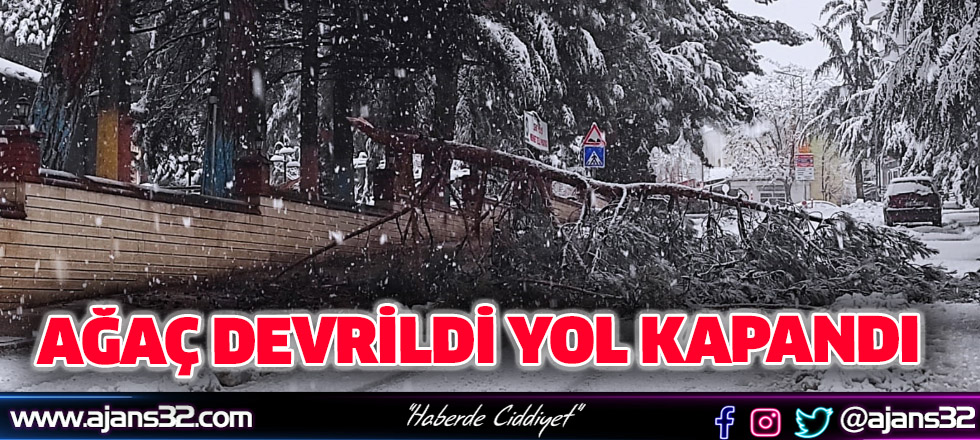 Ağaç Devrildi Yol Kapandı