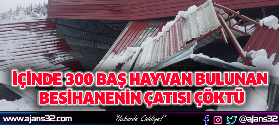 İçinde 300 Baş Hayvan Bulunan Besihanenin Çatısı Çöktü