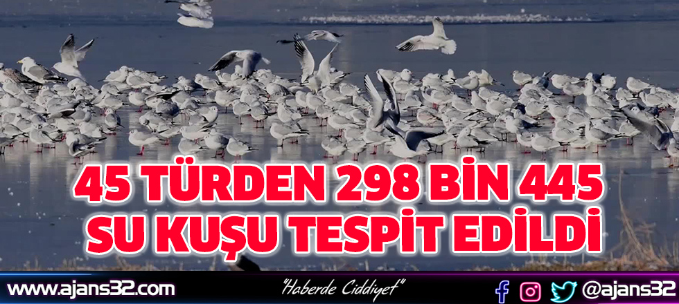 45 Türden 298 Bin 445 Su Kuşu Tespit Edildi