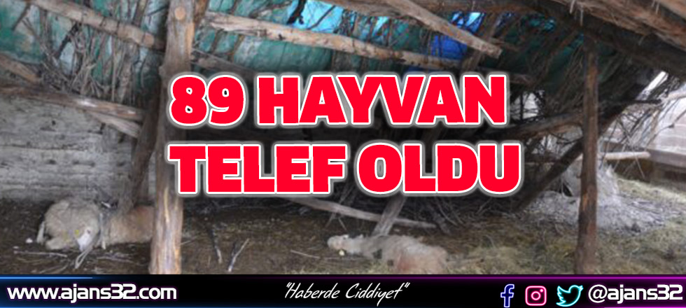 89 Hayvan Telef Oldu