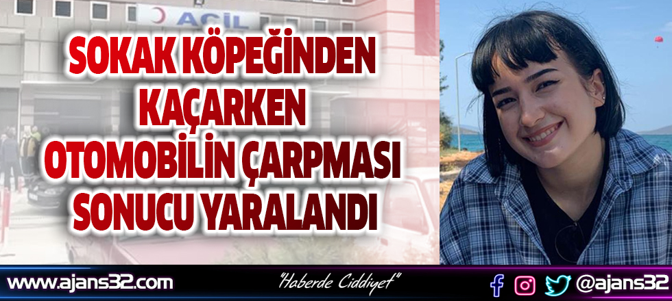 Sokak Köpeğinden Kaçarken Araba Çarptı