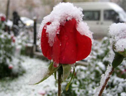 Isparta'da Bu Gece Sıcaklık -15 Derece Olacak