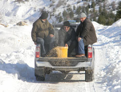 Yaban Hayvanları İçin Doğaya Yem Bıraktılar