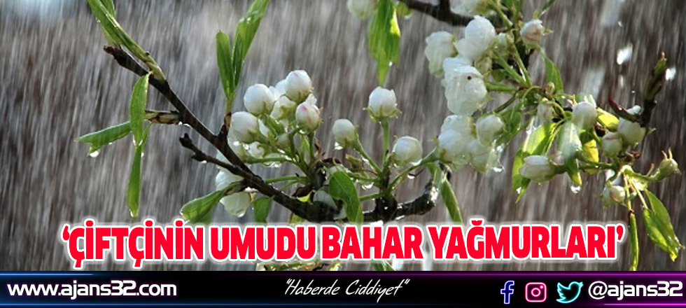 Çiftçinin Umudu Bahar Yağmurları