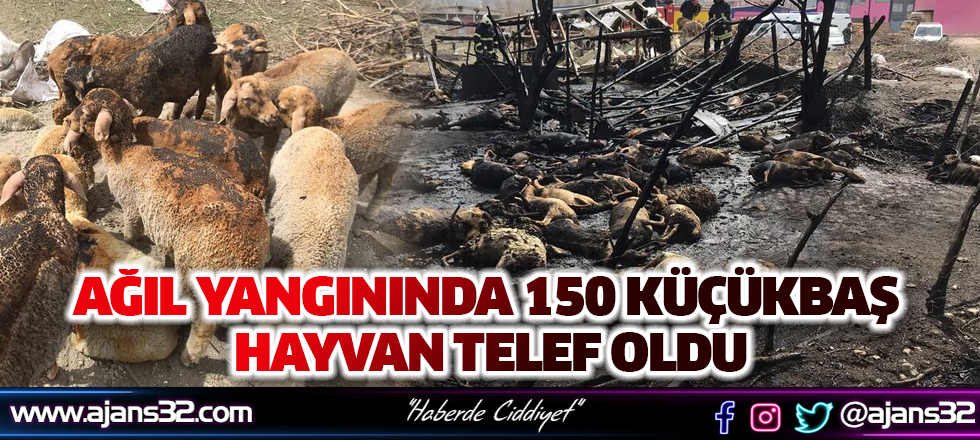 Ağıl Yangınında 150 Küçükbaş Hayvan Telef Oldu