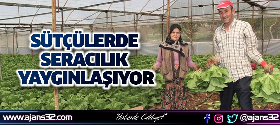 Sütçüler’de Seracılık Yaygınlaşıyor