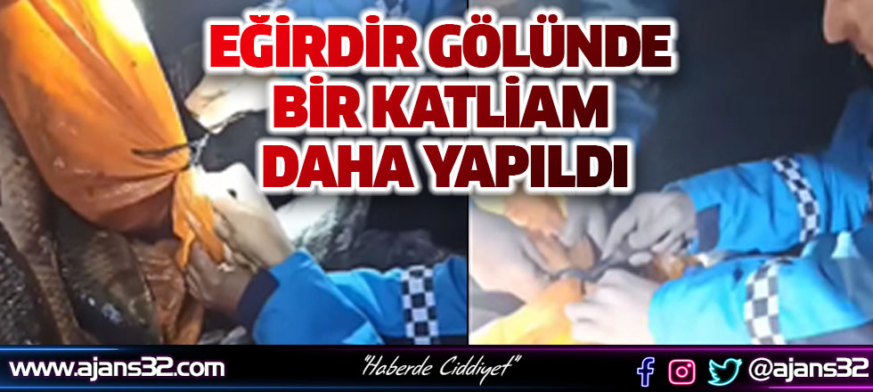 Eğirdir Gölünde Bir Katliam Daha Yapıldı