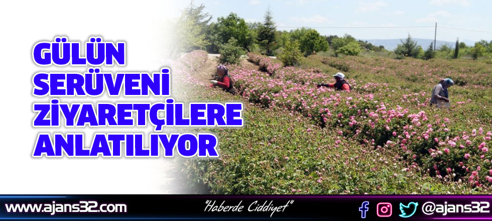 Gülün Serüveni Ziyaretçilere Anlatılıyor