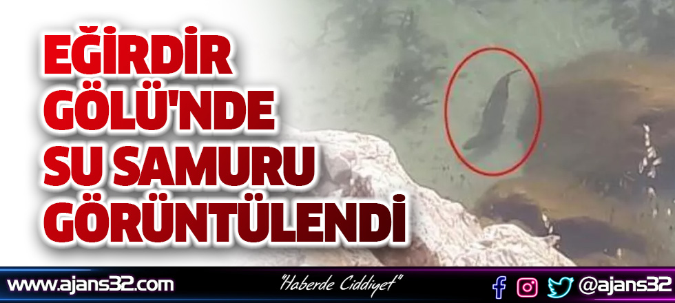 Eğirdir Gölü'nde Su Samuru Görüntülendi