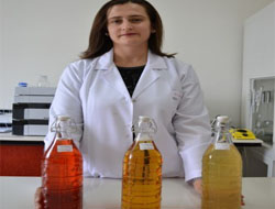 SDÜ Kolaya Alternatif İçecek Üretti