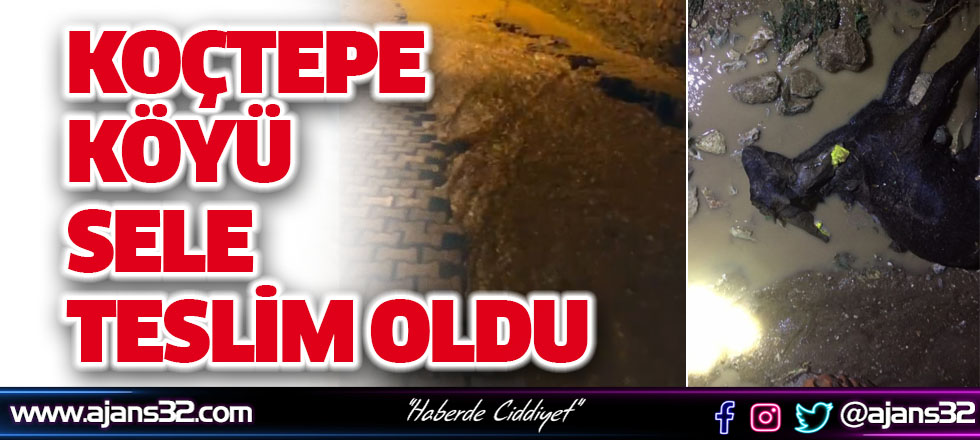 Koçtepe Köyü Sele Teslim Oldu