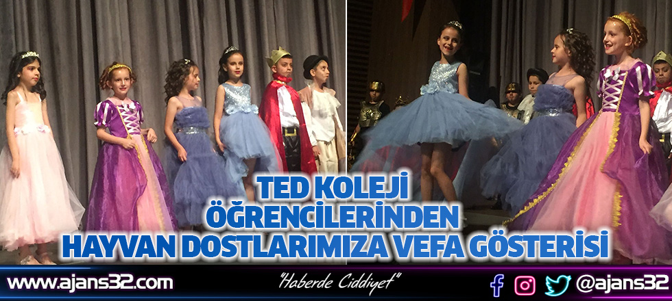 TED Koleji Öğrencilerinden Hayvan Dostlarımıza Vefa Gösterisi