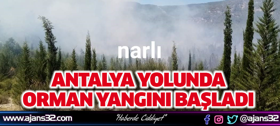 Isparta-Antalya Yolunda Orman Yangını Çıktı