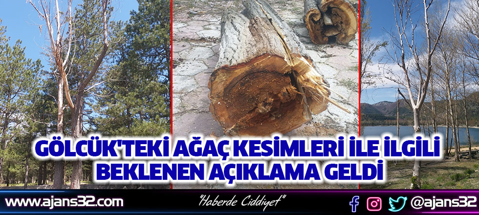 Gölcük'teki Ağaç Kesimleri İle İlgili Açıklama Yapıldı