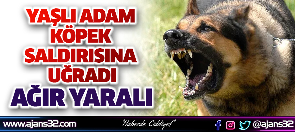 Yaşlı Adam Köpek Saldırısına Uğradı:Ağır Yaralı