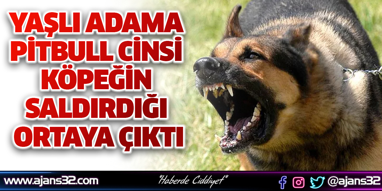 Yaşlı Adama Pitbull Cinsi Köpeğin Saldırdığı Ortaya Çıktı