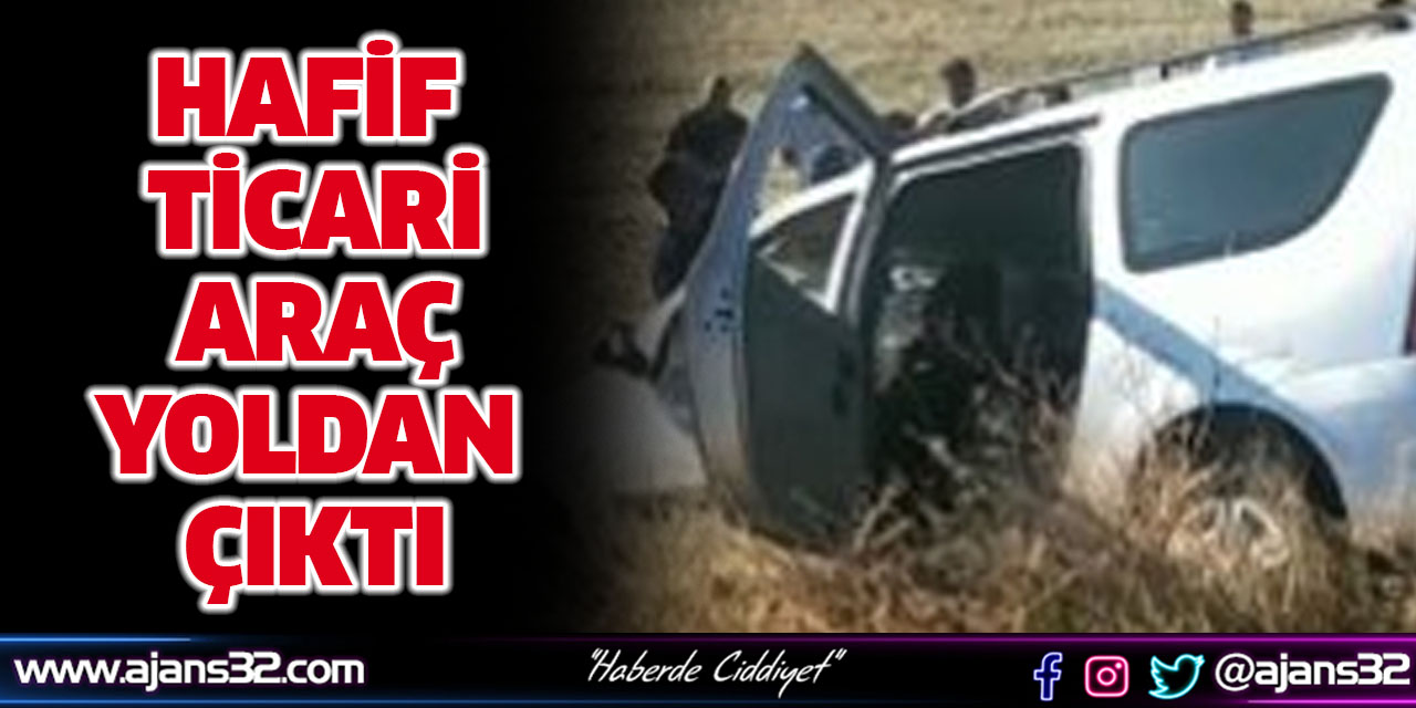 Hafif Ticari Araç Yoldan Çıktı