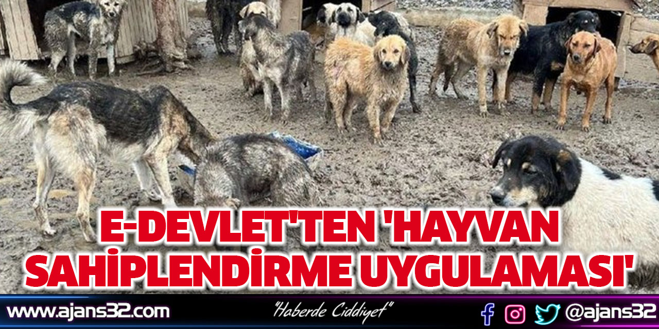 e-Devlet'ten 'Hayvan Sahiplendirme Uygulaması'