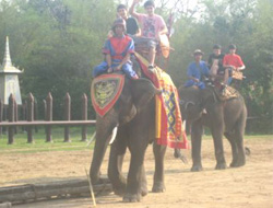 Öğrenciler Uzakdoğu'ya Hayran Kaldı