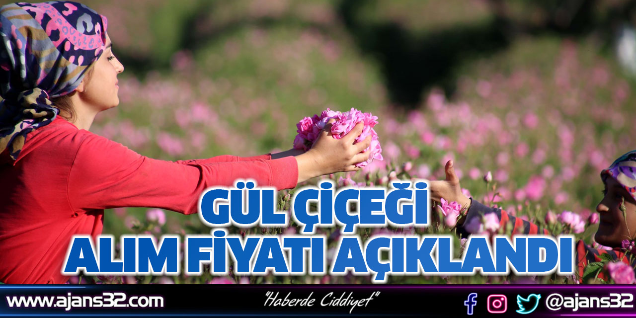 Gül Çiçeği Alım Fiyatı Açıklandı