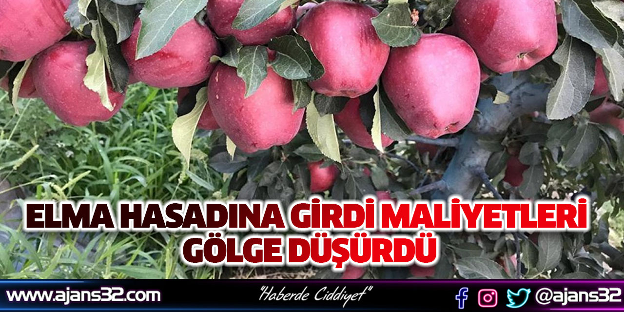 Elma Hasadına Girdi Maliyetleri Gölge Düşürdü