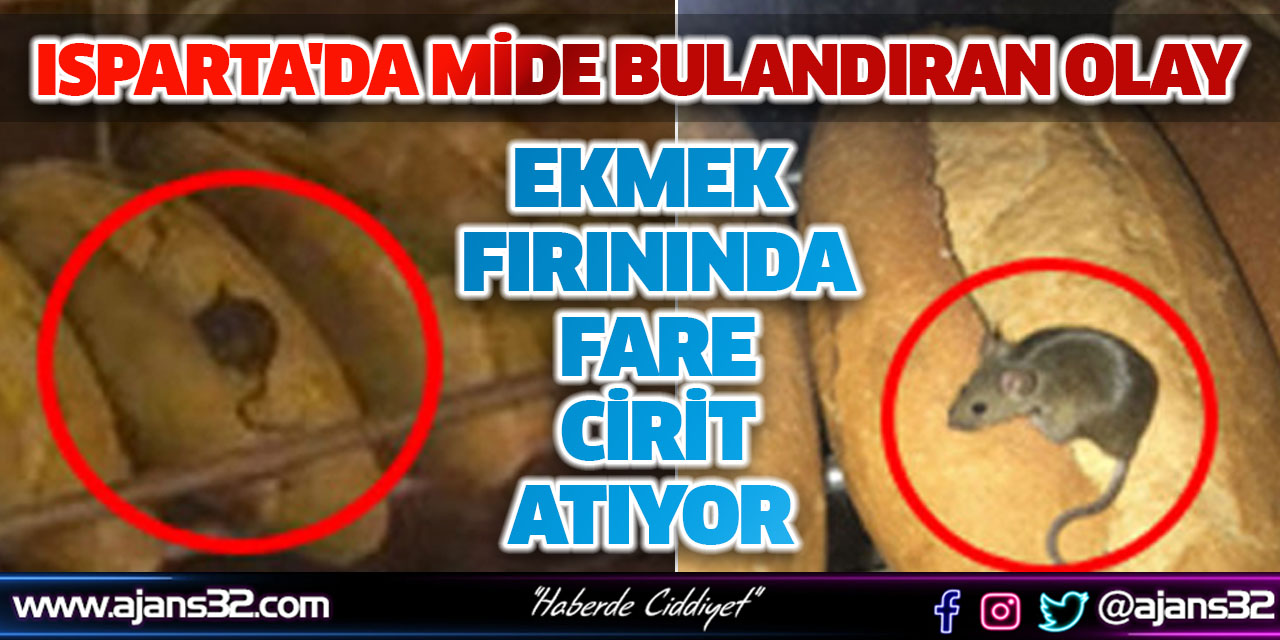 Isparta'da Mide Bulandıran Olay