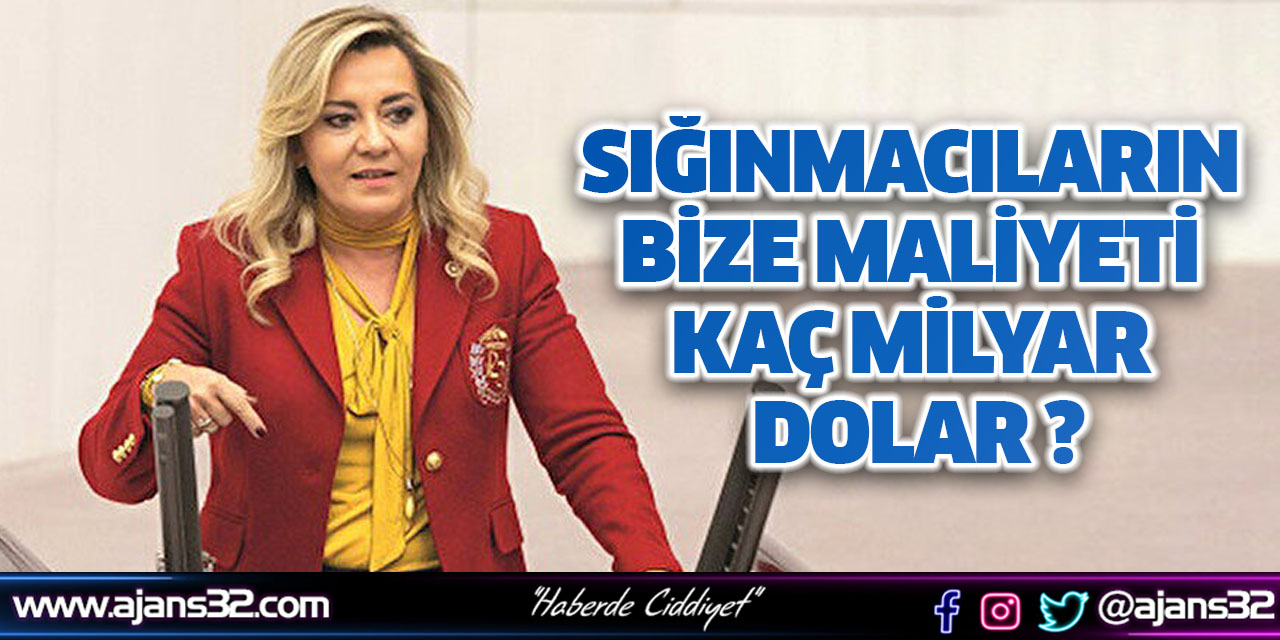 Sığınmacıların Bize Maliyeti Kaç Milyar Dolar?