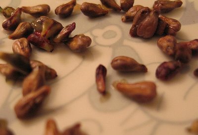 Üzüm Çekirdeğinden Bitkisel Krem