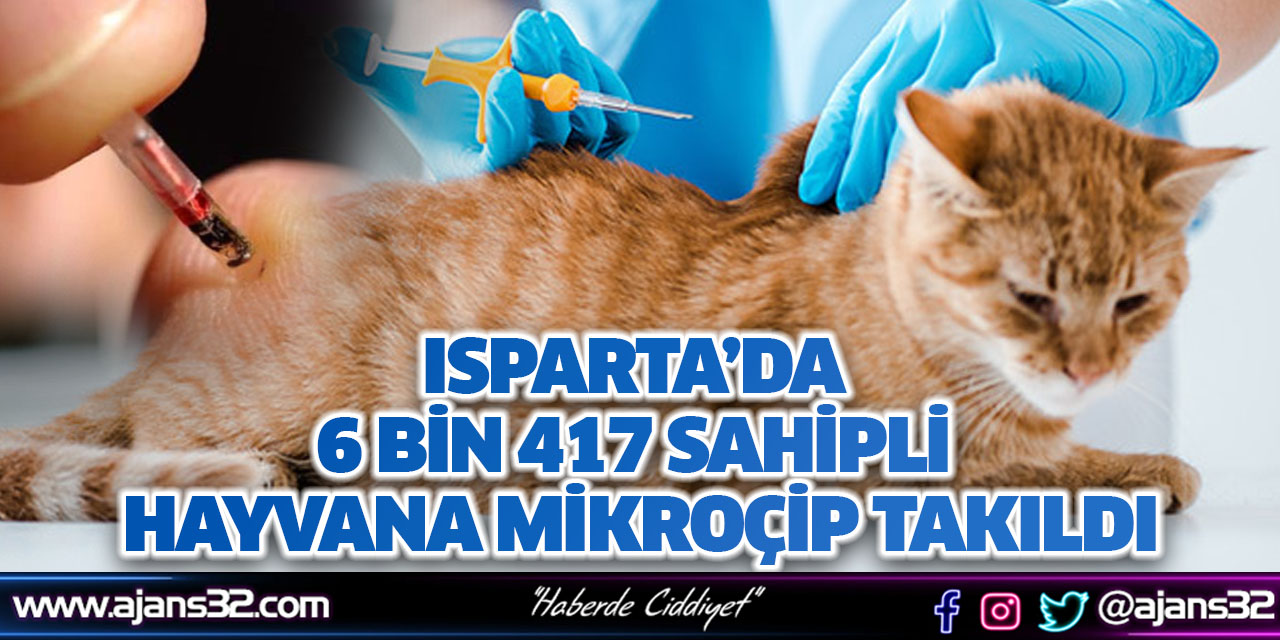 Isparta’da 6 Bin 417 Sahipli Hayvana Mikroçip Takıldı