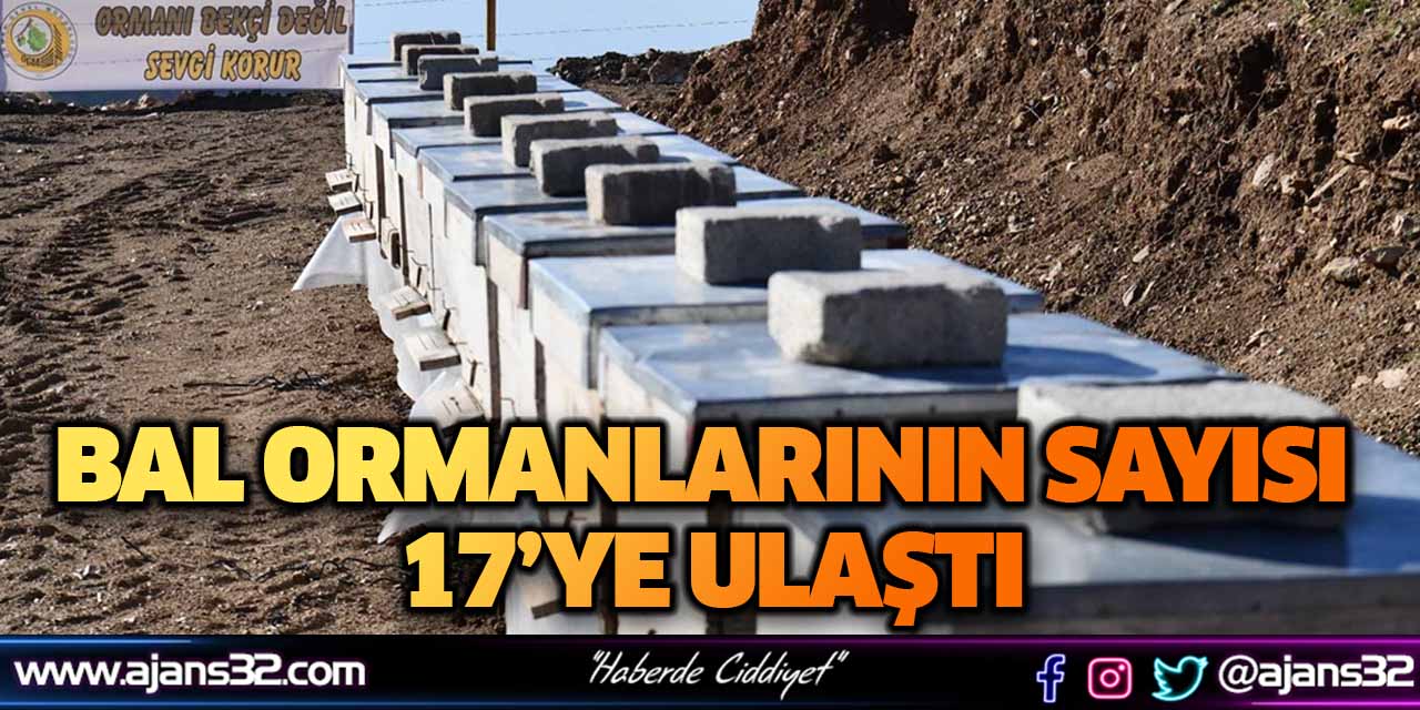 Bal Ormanlarının Sayısı 17’ye Ulaştı