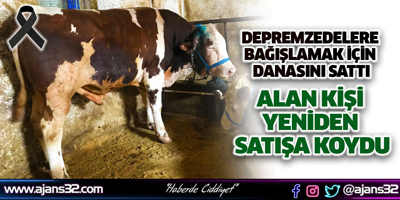 Depremzedelere Bağışlamak İçin Danasını Sattı