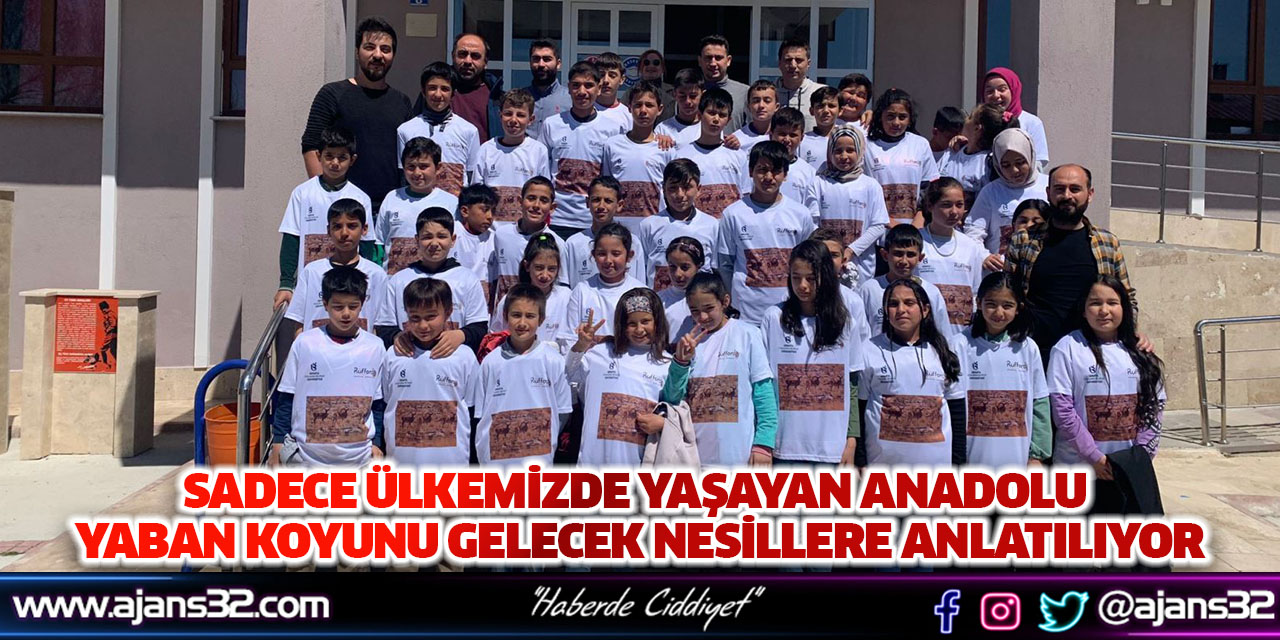 Sadece Ülkemizde Yaşayan Anadolu Yaban Koyunu Gelecek Nesillere Anlatılıyor