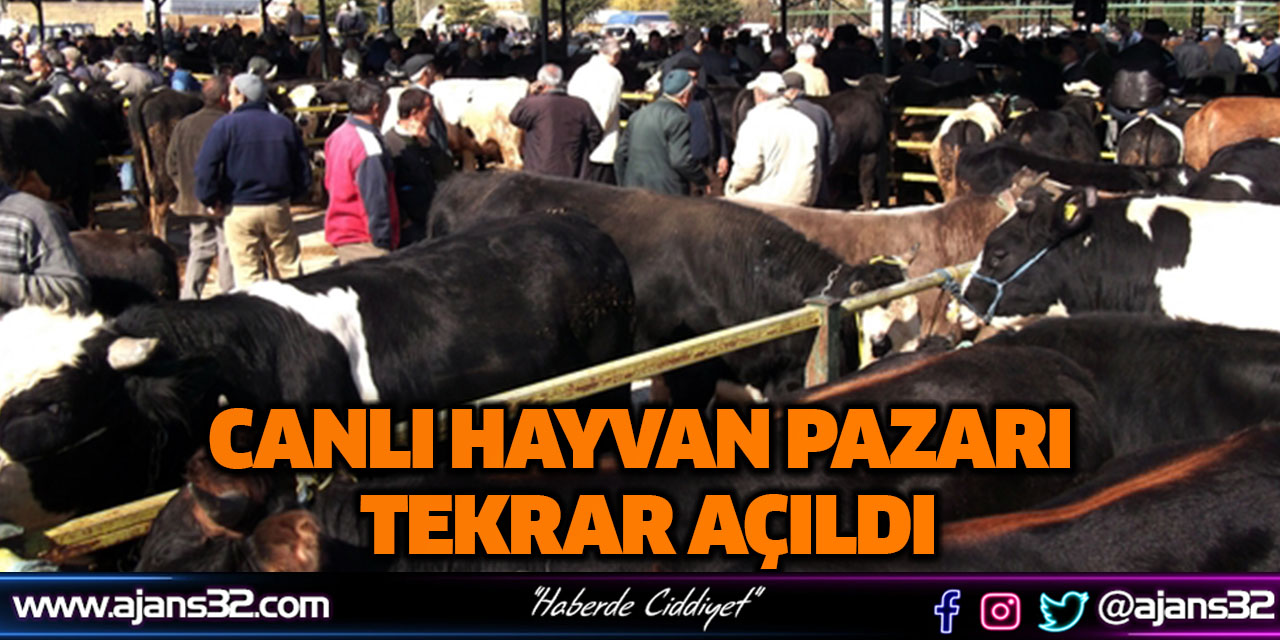 Canlı Hayvan Tekrar Pazarı Açıldı