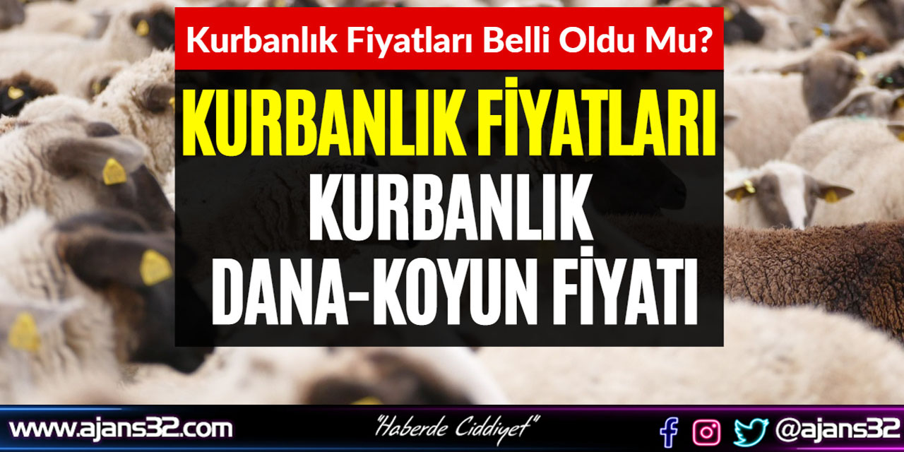 Kurbanlık Fiyatları Cepleri Zorlayacak