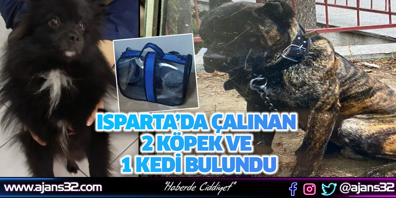 Isparta’da Çalınan 2 Köpek ve 1 Kedi Bulundu