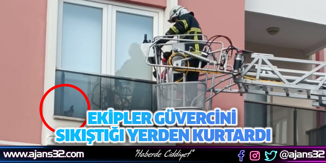 Ekipler Güvercini Sıkıştığı Yerden Kurtardı