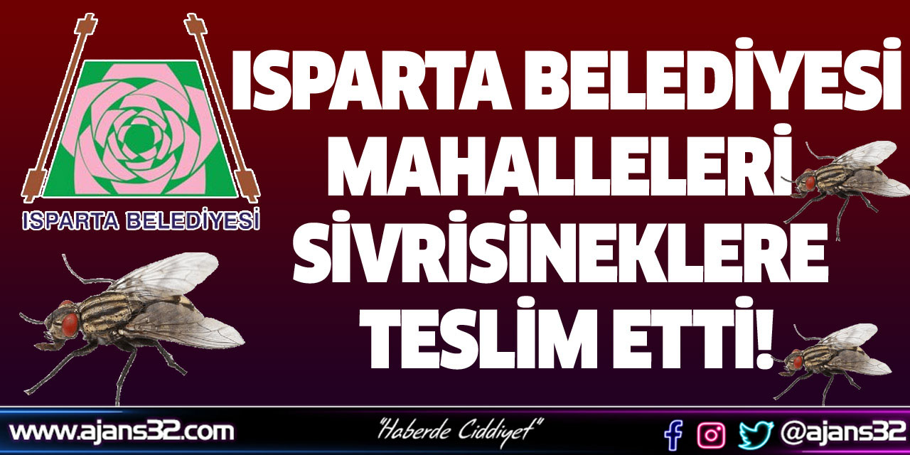 Isparta Belediyesi Mahalleleri Sivrisineklere Teslim Etti!