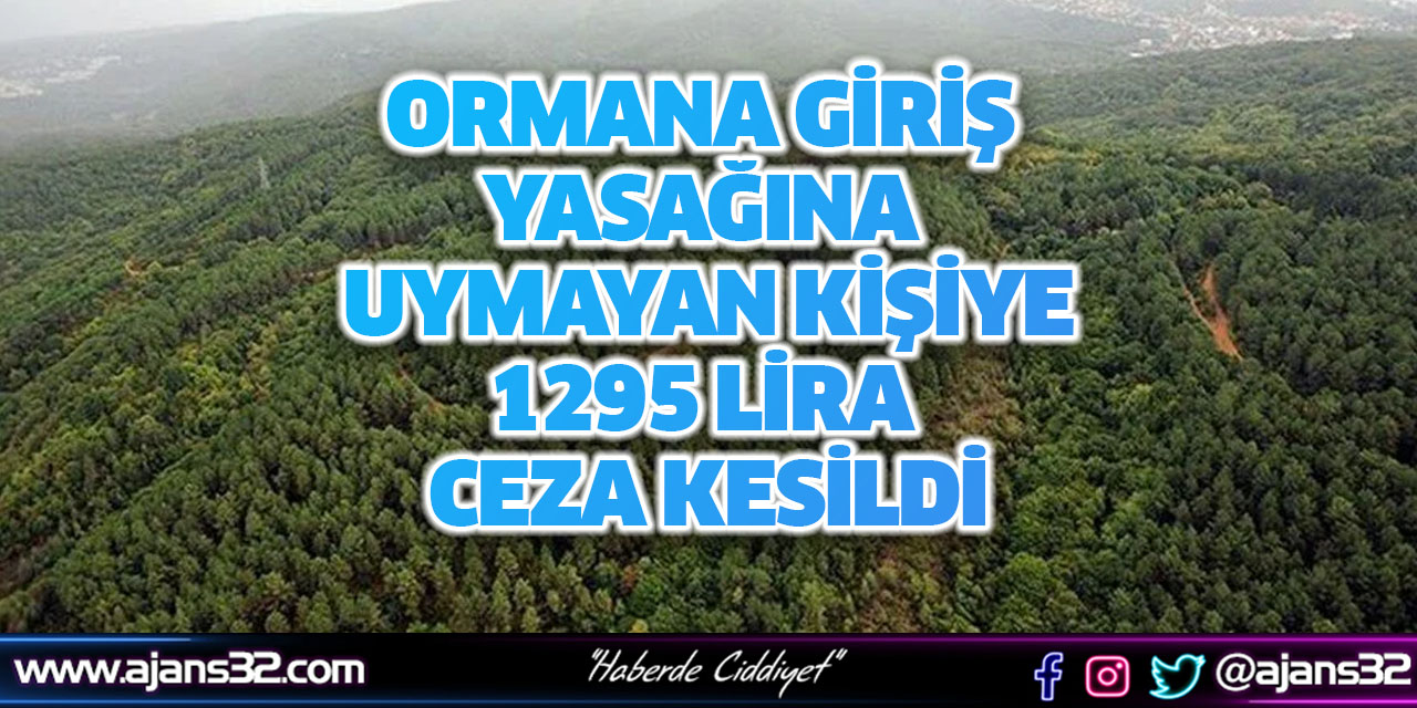 Ormana Giriş Yasağına Uymayan Kişiye 1295 Lira Ceza Kesildi