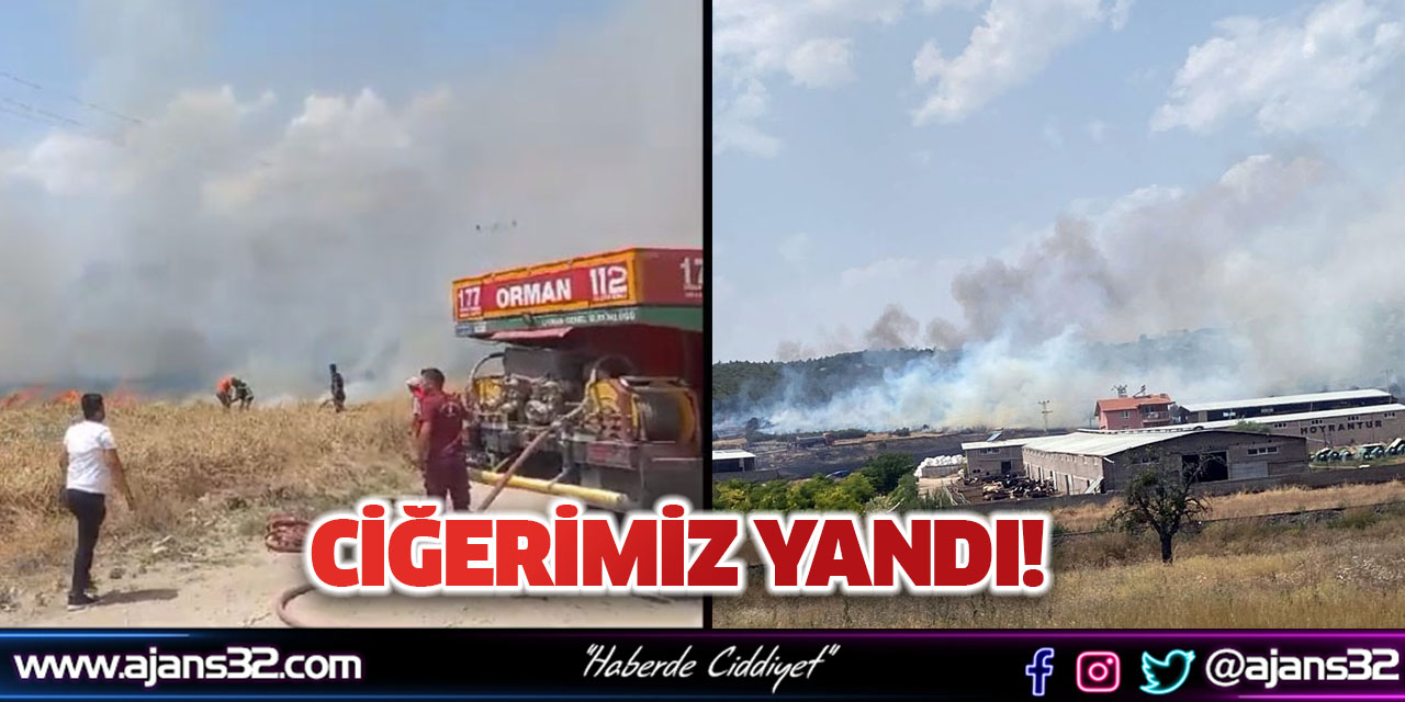 Ciğerlerimiz Yandı!